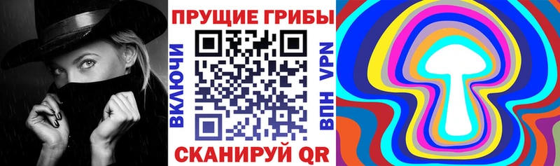 где купить наркоту  Оленегорск  Псилоцибиновые грибы ЛСД 