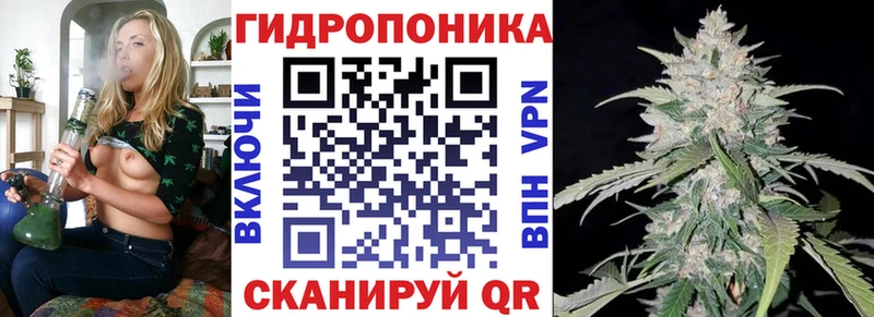 OMG ссылки  Оленегорск  нарко площадка клад  МАРИХУАНА Amnesia 